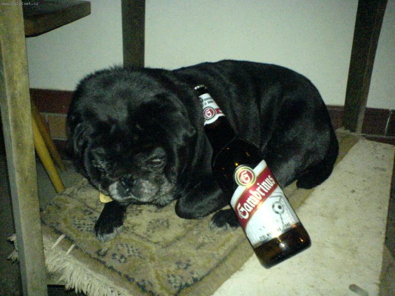 Foto: Ted�k a Gamb��