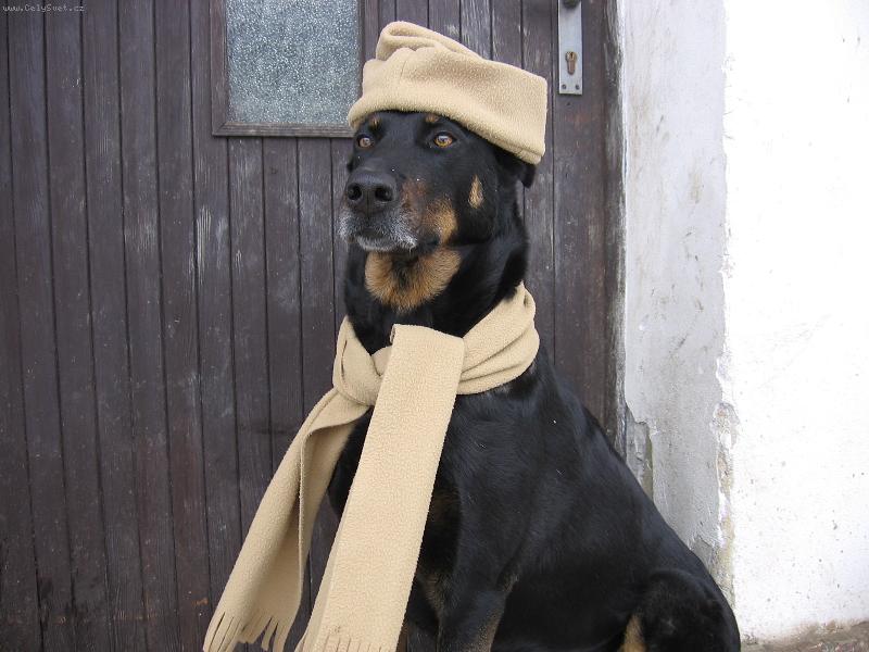 Foto: a zima m��e p�ij�t