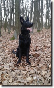 Fotosout�: Kira