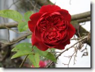 Fotosout�: R��e