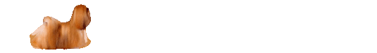 Vce smajlk ke staen